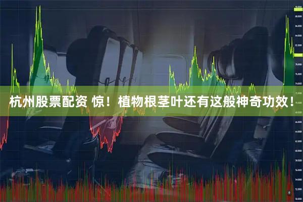 杭州股票配资 惊！植物根茎叶还有这般神奇功效！
