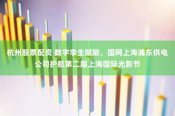 杭州股票配资 数字孪生赋能，国网上海浦东供电公司护航第二届上海国际光影节